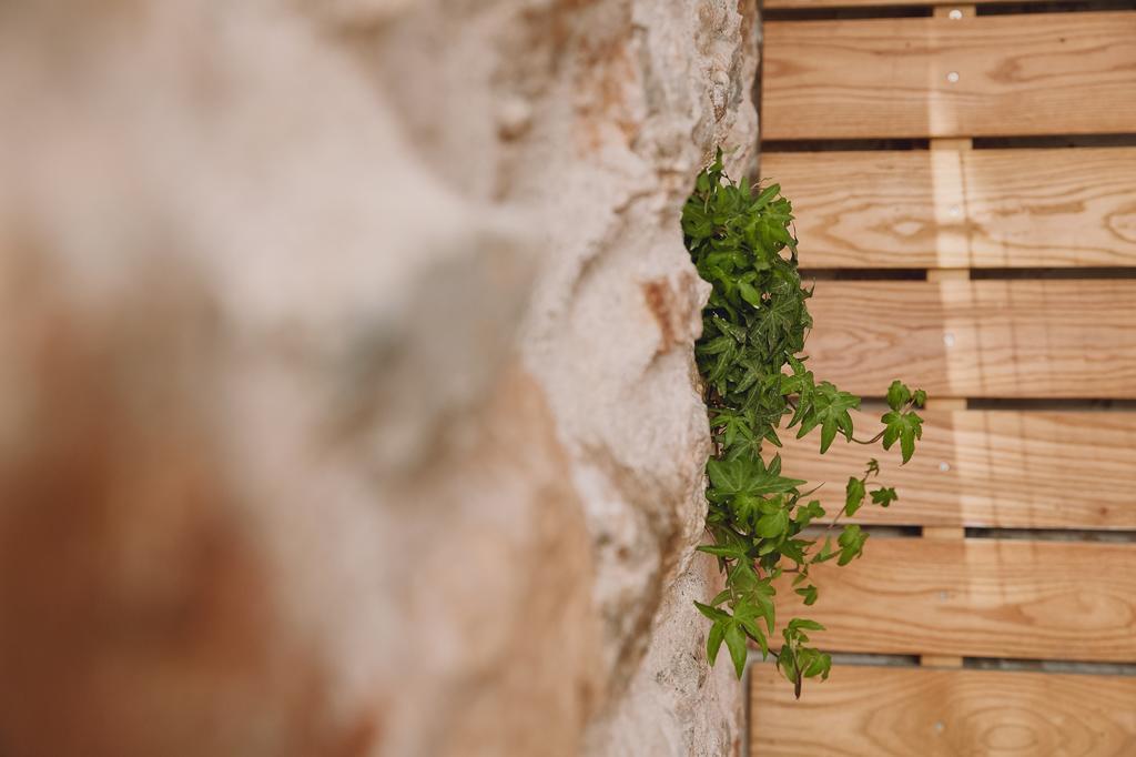 דירות אתונה Warm Stone House מראה חיצוני תמונה